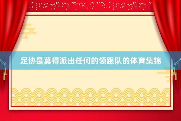足协是莫得派出任何的领跟队的体育集锦