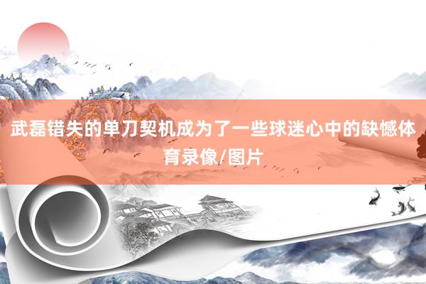 武磊错失的单刀契机成为了一些球迷心中的缺憾体育录像/图片