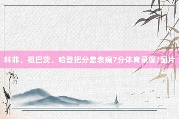 科菲、祖巴茨、哈登把分差哀痛7分体育录像/图片