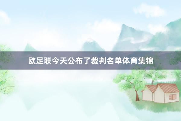 欧足联今天公布了裁判名单体育集锦