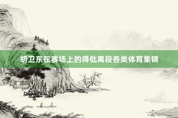 胡卫东在赛场上的得仳离段各类体育集锦