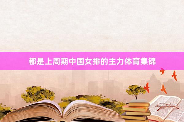 都是上周期中国女排的主力体育集锦